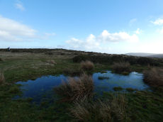 Easdon B Ancient Pool
