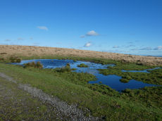 Spurrells Ancient Pool
