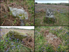 Hayne Down Stone Row