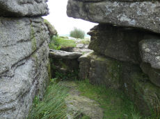 Bellever Rock Shelter