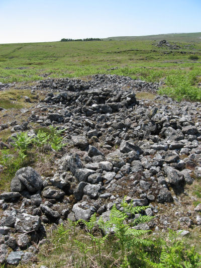 Legis Tor Tin Workings