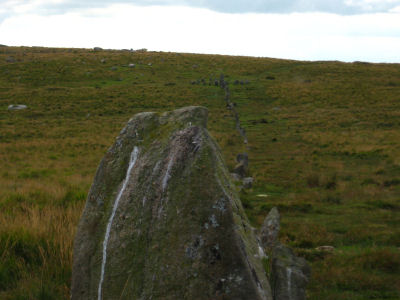 Down Tor Stone Row and Cairn Circle
