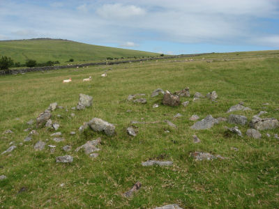 Roos Tor North-West Settlements