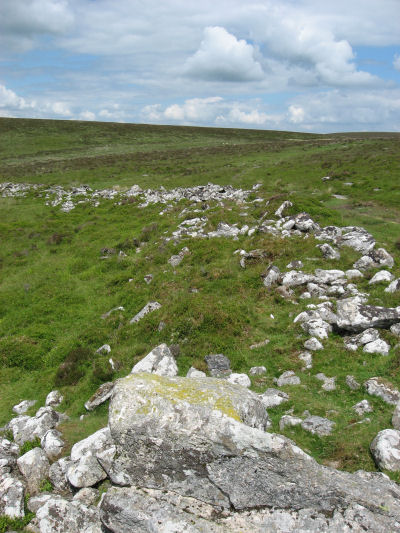 Grimspound Prehistoric Pound