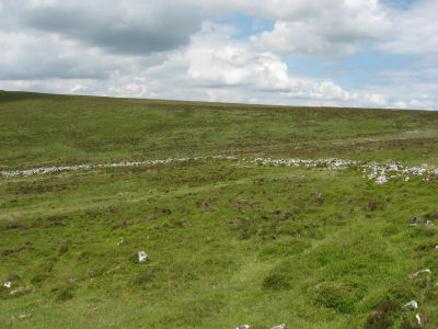 Grimspound Prehistoric Pound