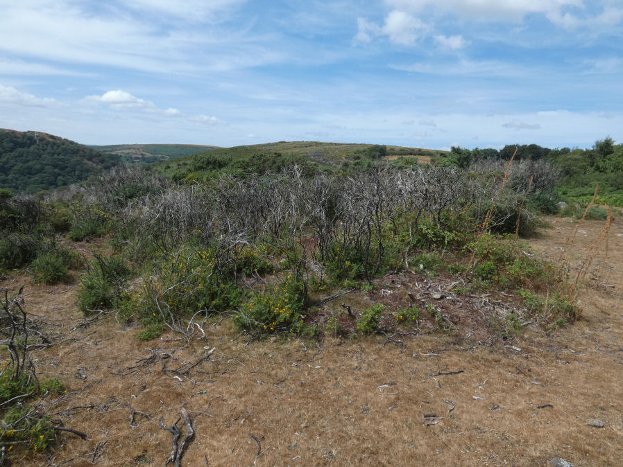 Brake Corner 2 Cairn