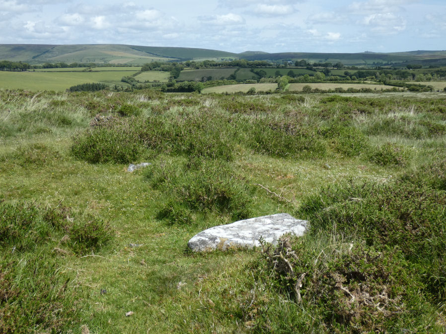 Riddon Ridge S. Cist