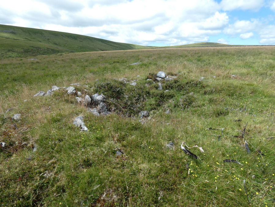 Rowtor Brook 1 Cairn