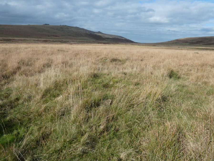 Taw Marsh S.1 Clearance Cairn