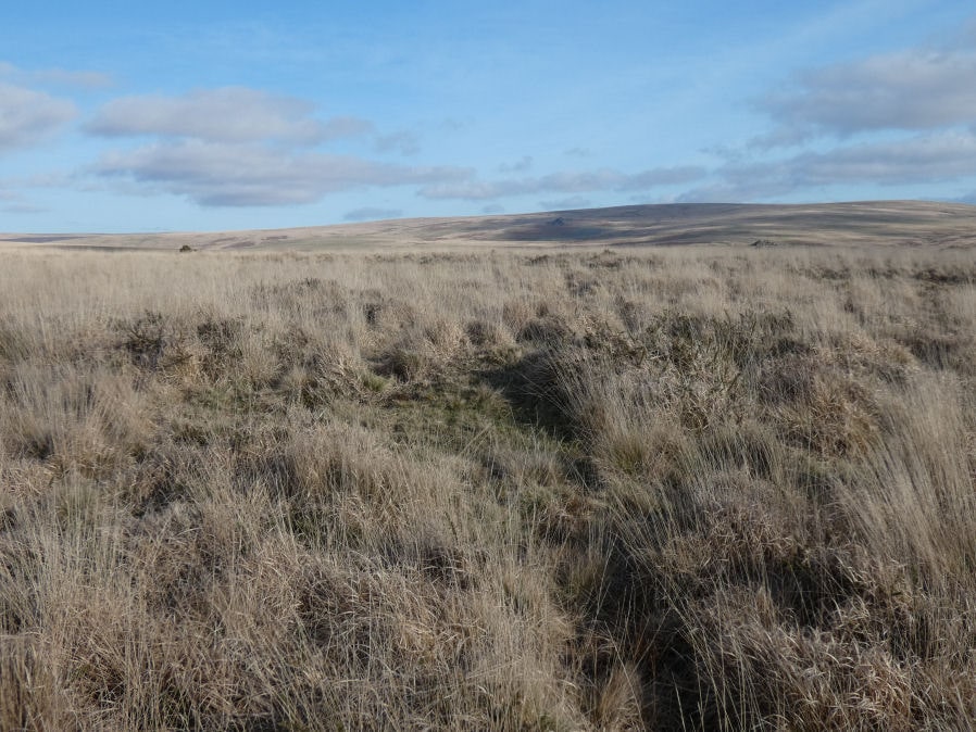 Ringmoor Down 5 Cairn