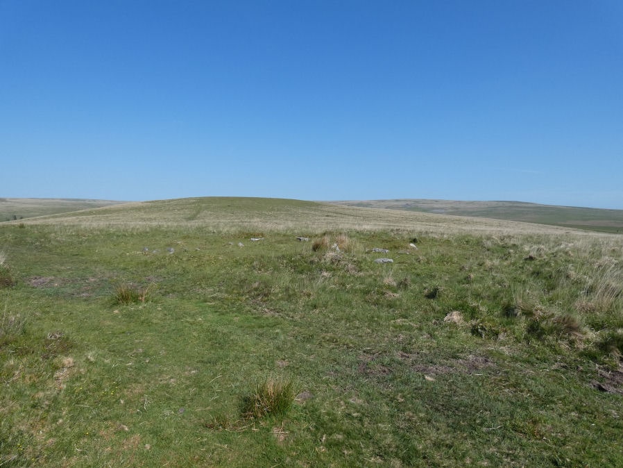 Ringmoor Down 11 Cairn
