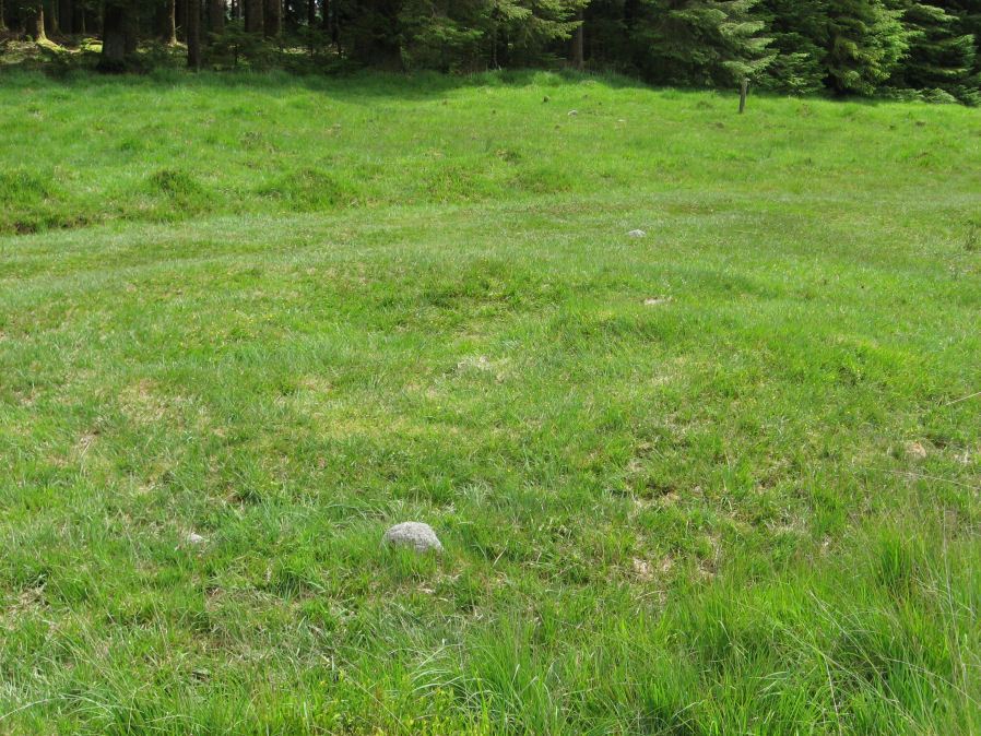 Fernworthy (SW) Encircled Cairn
