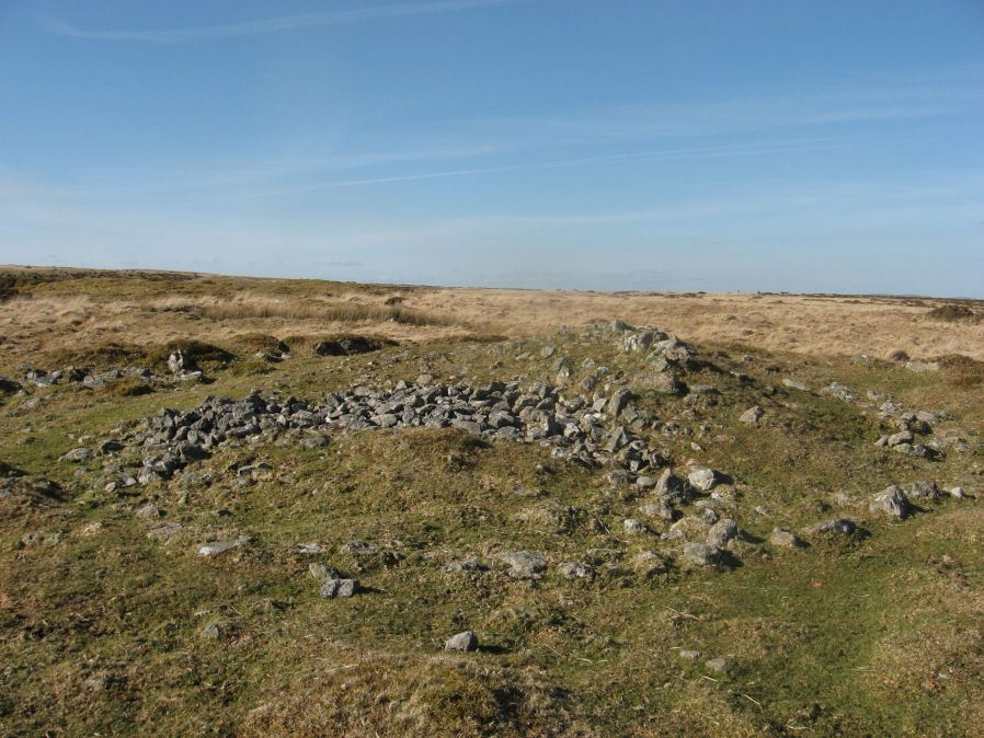 Harbourne Head B Embanked Cairn Circle