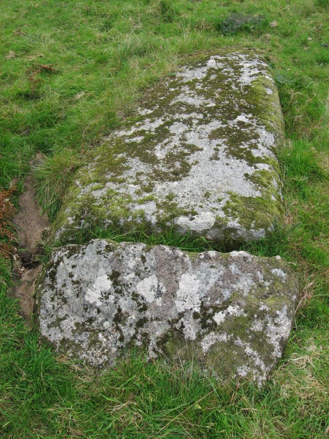 Burford Down Standing Stone
