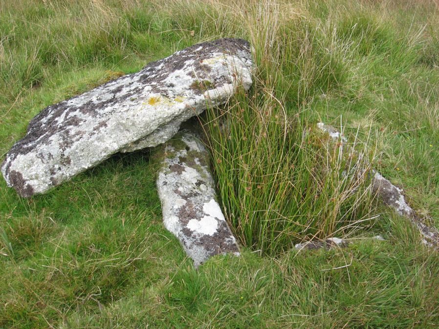 Blakey Tor (E) Cist
