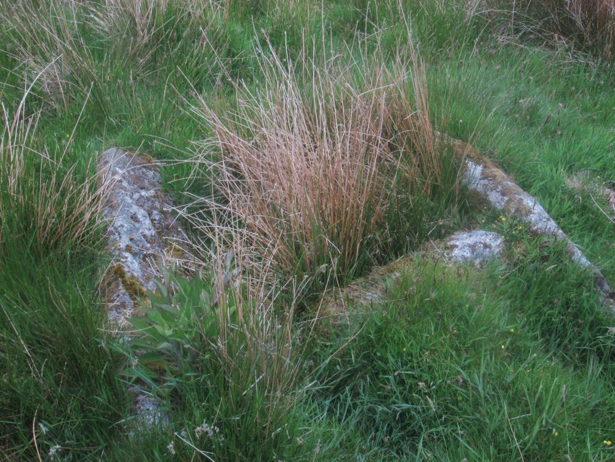 Blackabrook, West Cist