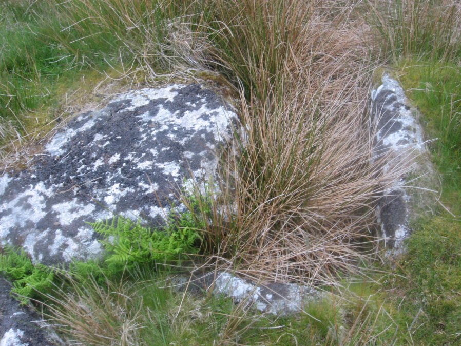 Roundhill, Near Summit Cist