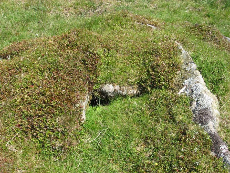 Harrowthorn (North of) Cist