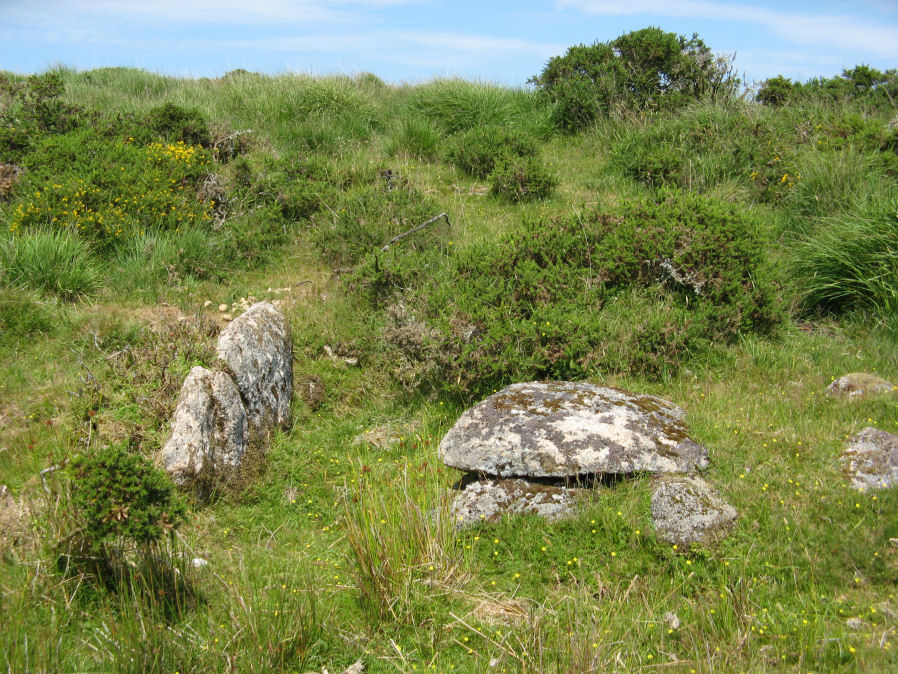 Dunnabridge Pound Farm Newtake Cist