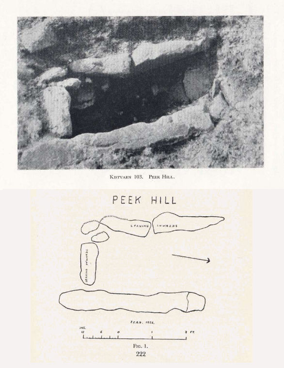 Sharpitor (N) or Peek Hill Platform Cairn Circle and Cist