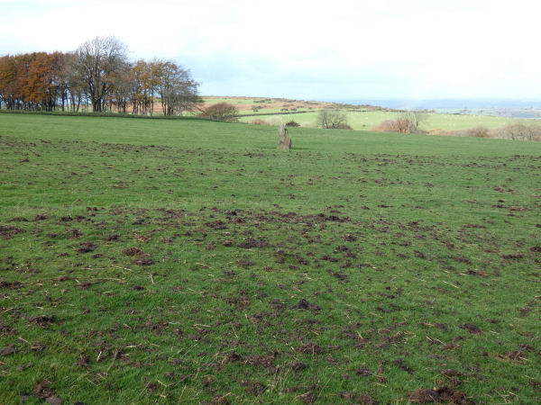 East Bowden 1 Reported Cairn