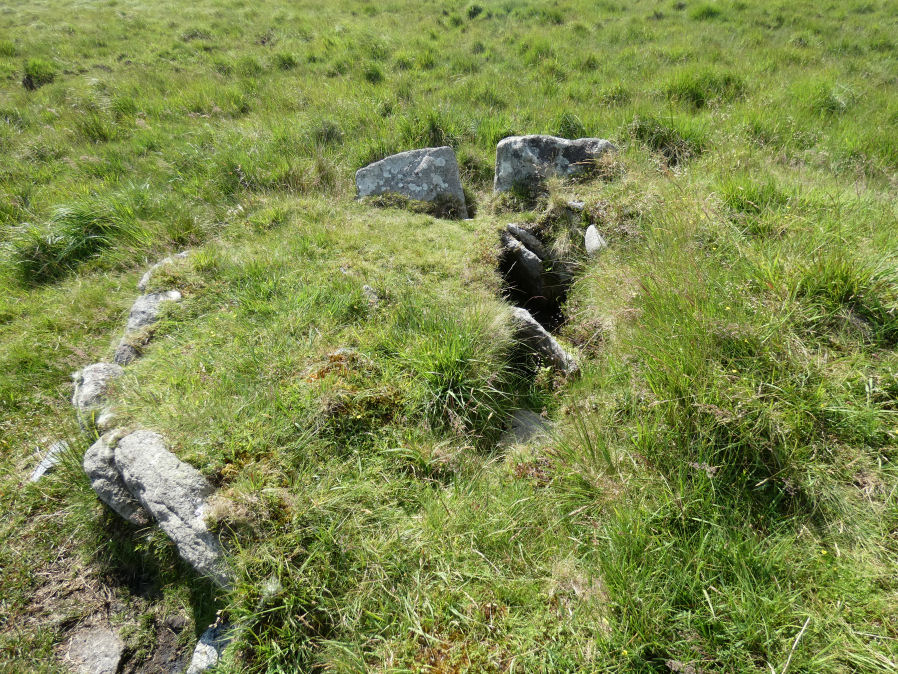 Knackersmill Gulf N. Cist