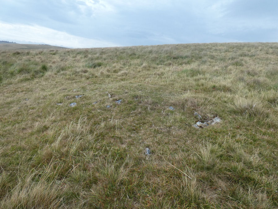 Langstone Moor 6 Clearance Cairn