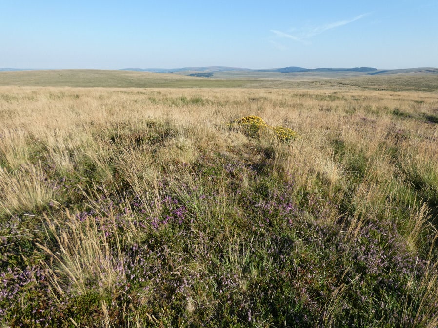 Little Hound Tor 2 Cairn