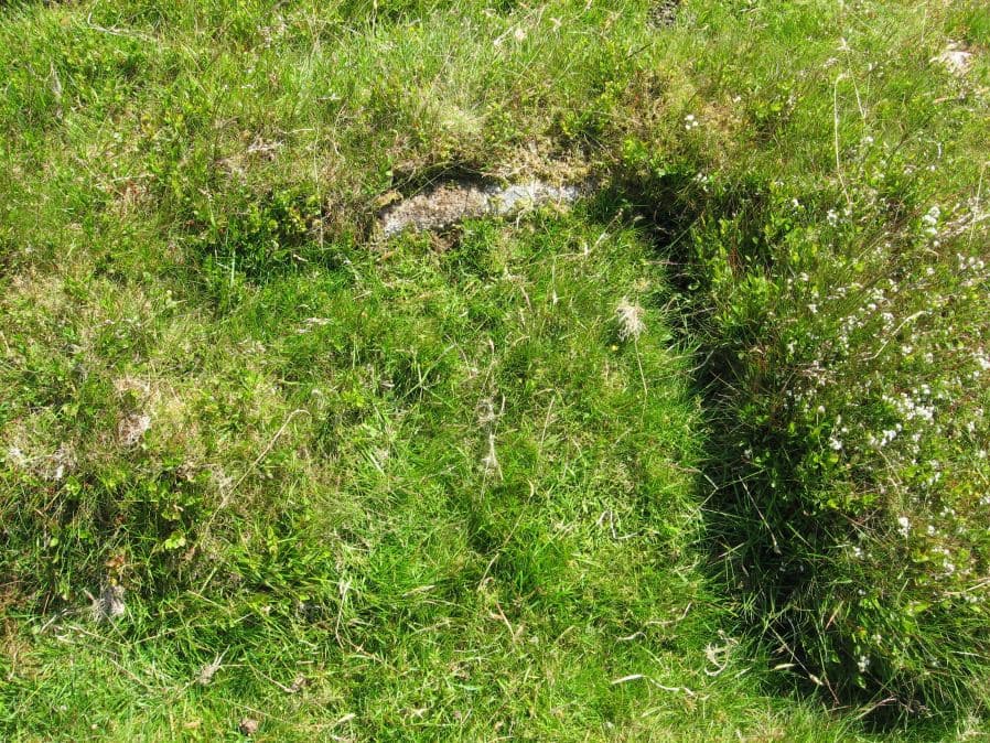 Stalldown (W) Platform Cairn Circle and Cist