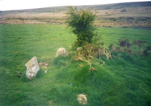 Cator Common Platform Cairn Circle and Cist