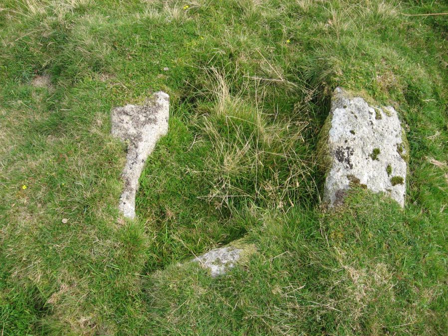 Royal Hill Summit Cist