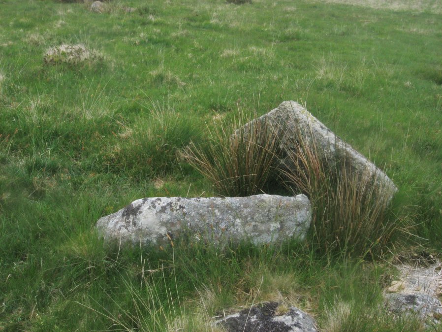 Roundhill SW (S) Cist