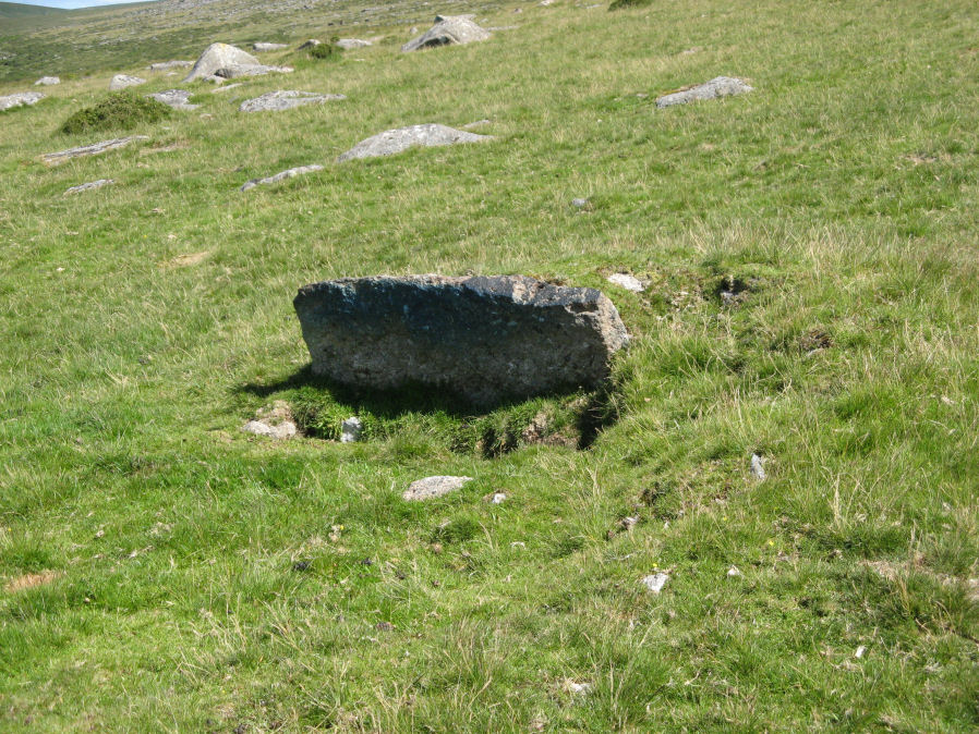 Crockern Tor Cist