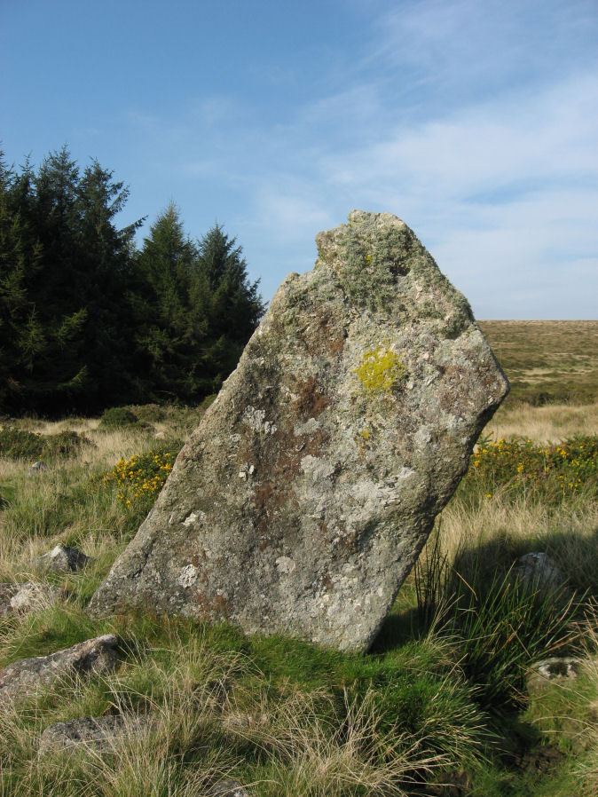 Butter Brook Standing Stone