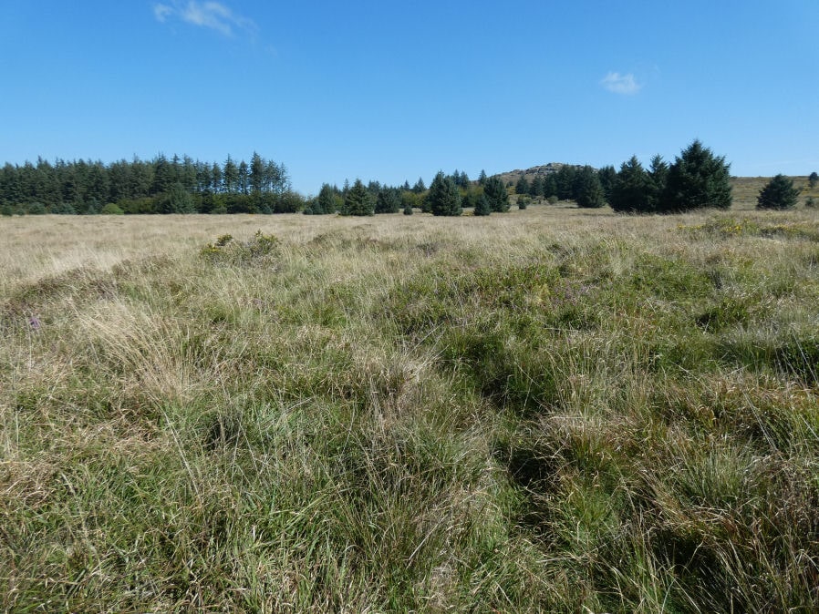 Black Newtake (b) Stone Ring Cairn Circle 