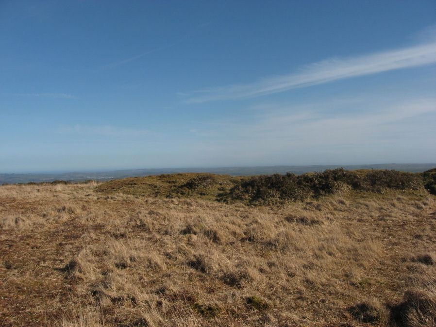 Harbourne Head A Stone Ring Cairn Circle 