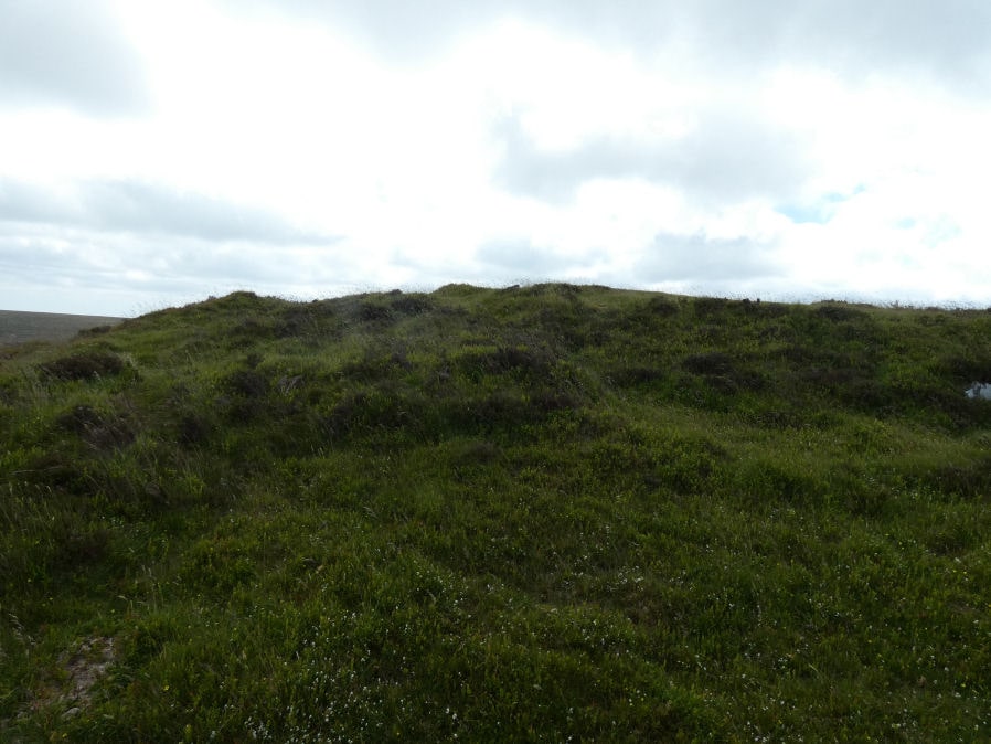 Hookney Tor Cairn