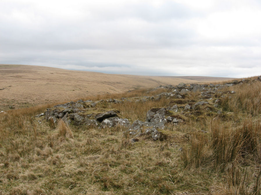 Brown Heath Enclosed Settlement