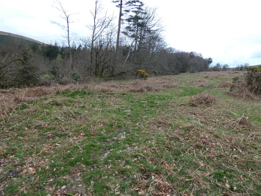 Heatree Down House 4 Round House