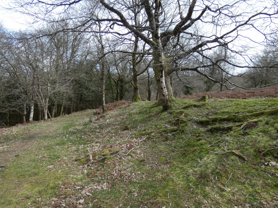 Wooston Castle Fort