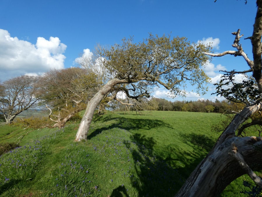Cadbury Castle Fort