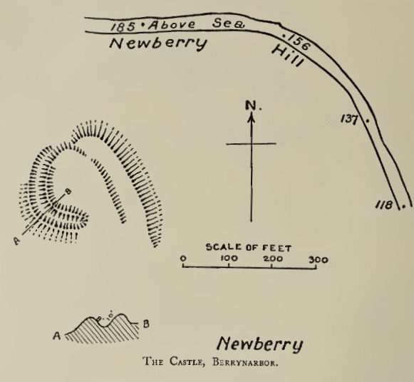 Newberry Castle Fort
