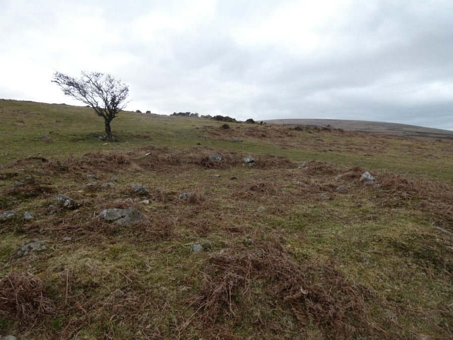 Throwleigh Common Round House