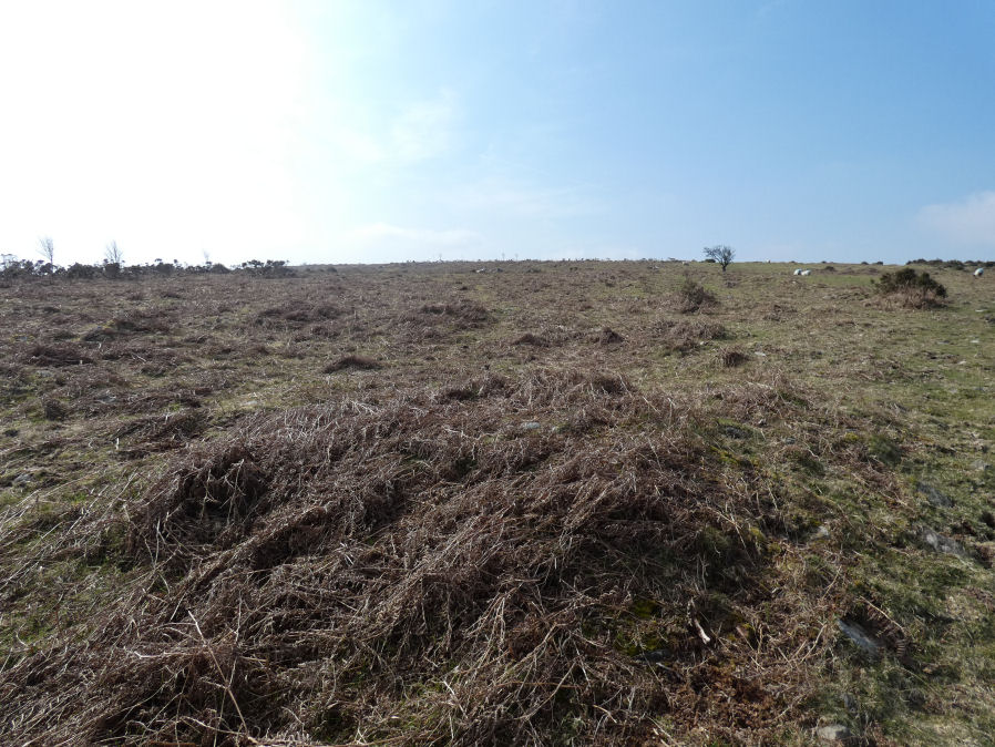 Throwleigh Common Round House