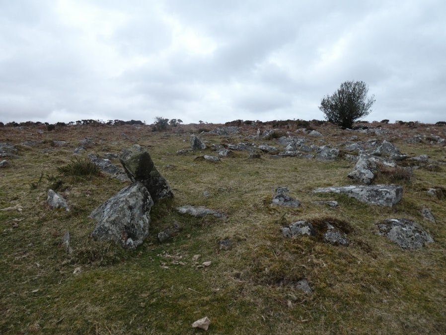 Throwleigh Common Round House