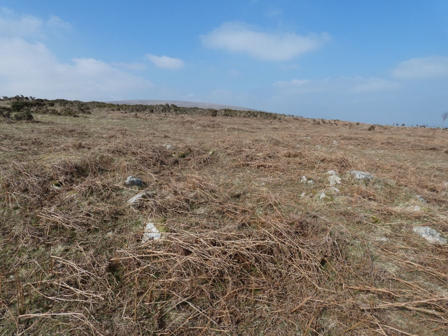 Throwleigh Common Round House