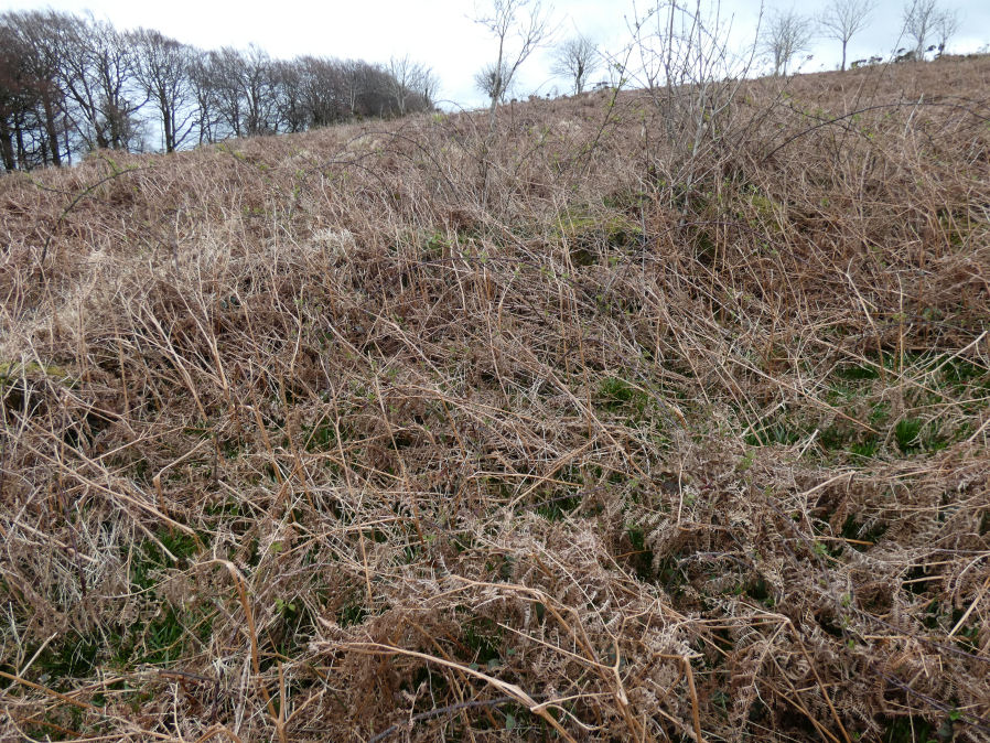 Vogwell Down 3 Round House