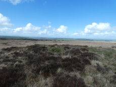 White Hill S.W.5 Cairn