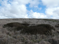 White Hill S.W.6 Cairn