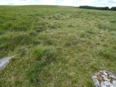 White Ridge Stone Row Cairn